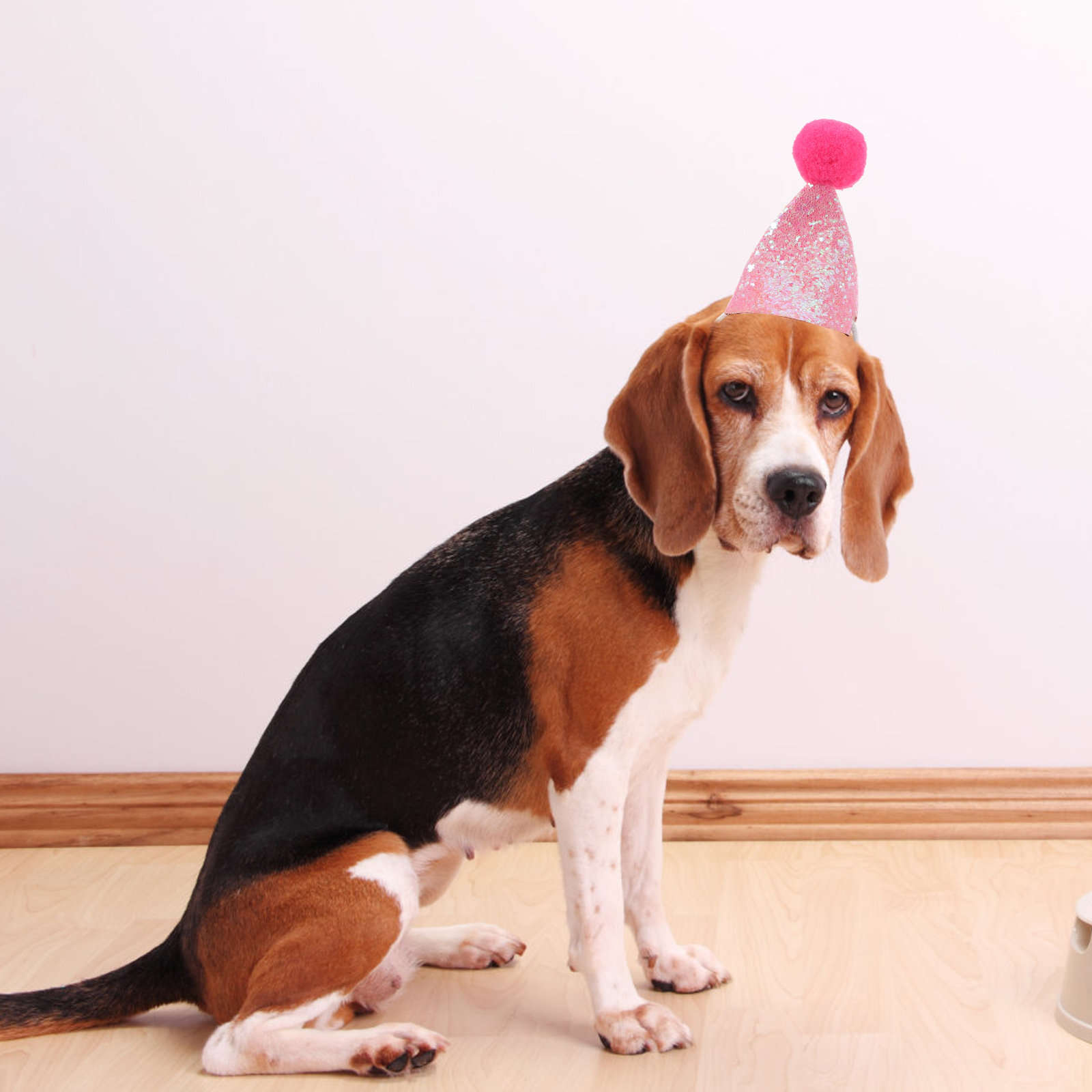 10Pcs Pet Birthday Party Hat f - đánh giá và giá Party Hat Cone